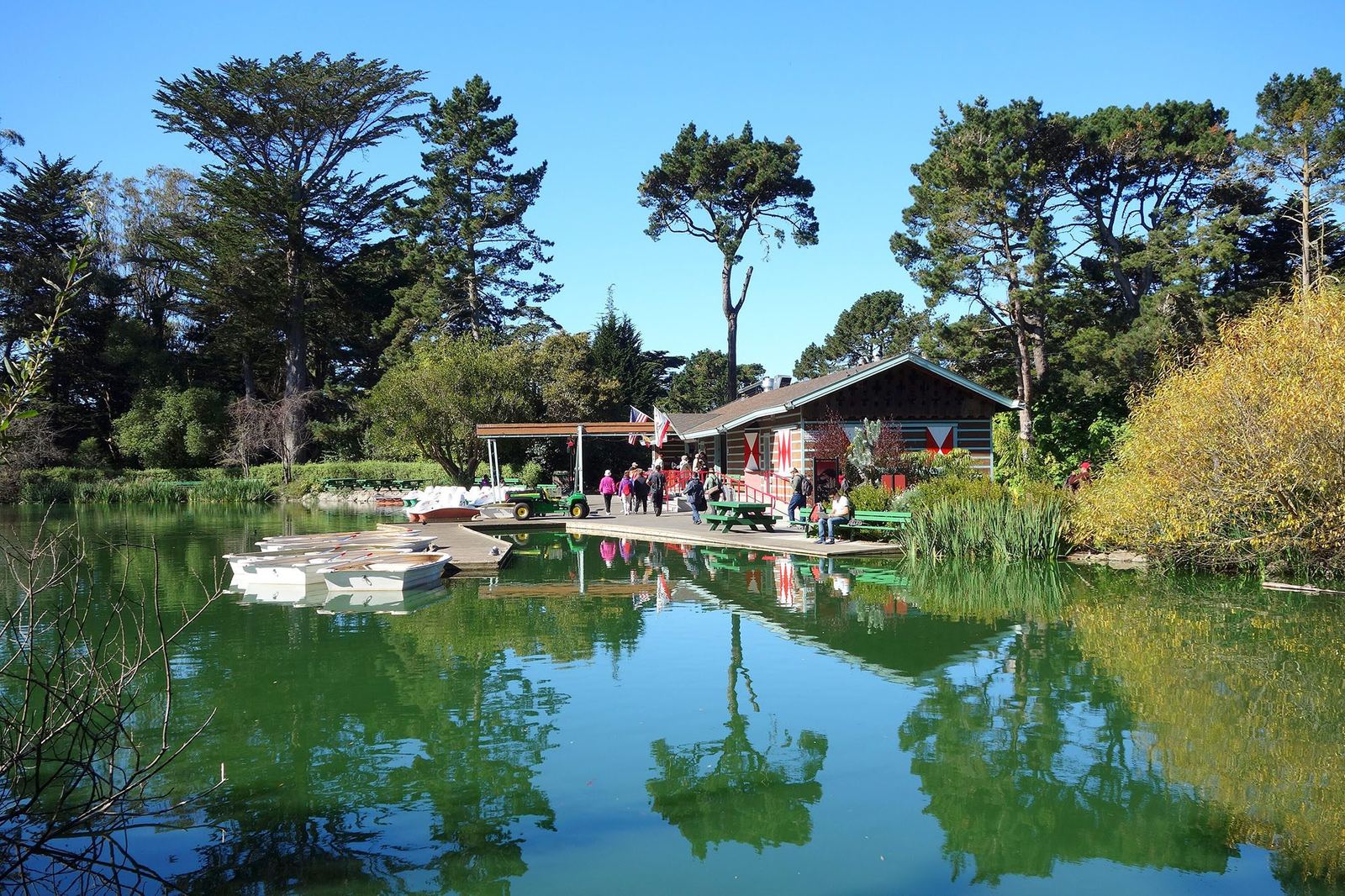 Blue Heron Lake (formerly Stow Lake) in Golden Gate Park, San Francisco — a tree-lined urban lake where Great Blue Herons nest each spring within a mile of downtown
