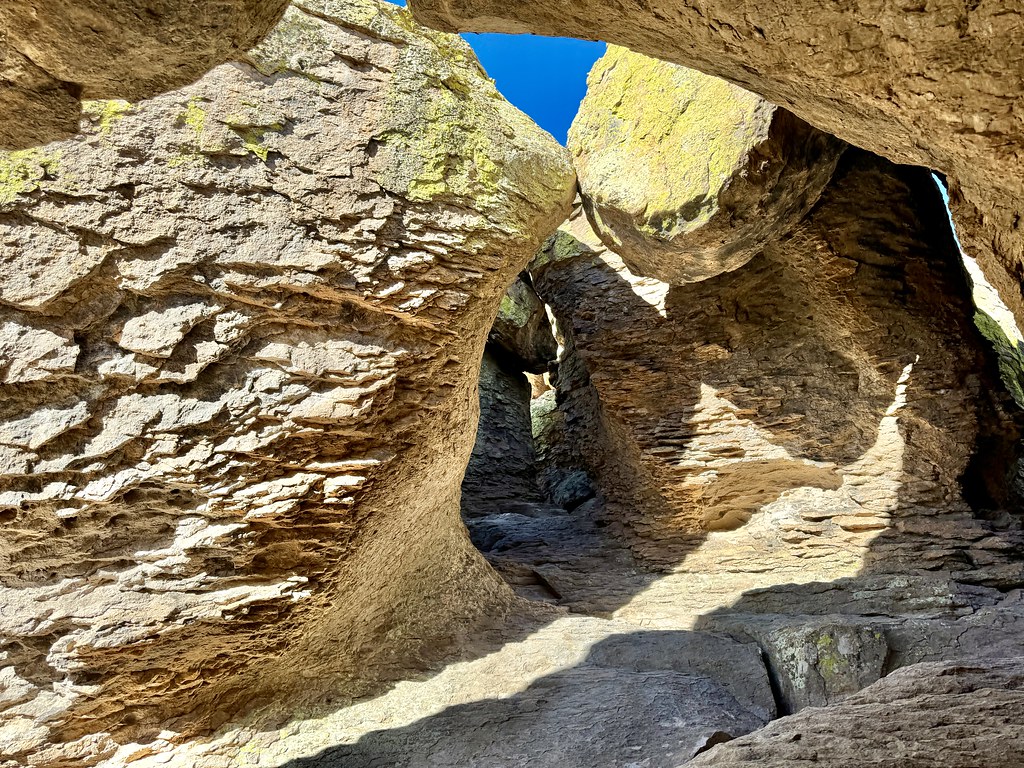 Echo Canyon Trail winding through volcanic rhyolite rock formations and hoodoos in the Chiricahua Mountains of Arizona, with pine trees and open sky above
