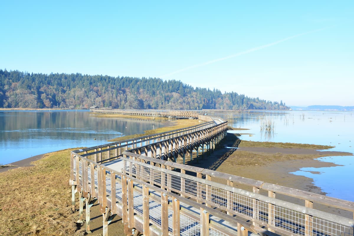 The Nisqually Estuary Boardwalk at Billy Frank Jr. Nisqually National Wildlife Refuge — a mile-long wooden boardwalk crossing the tidal estuary of the Nisqually River delta, one of the most productive birding trails in Washington